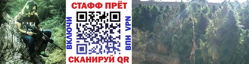 Наркошоп Судак Галлюциногенные грибы  Меф  СК  ГАШИШ  Канабис 