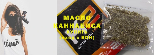 индика Арсеньев