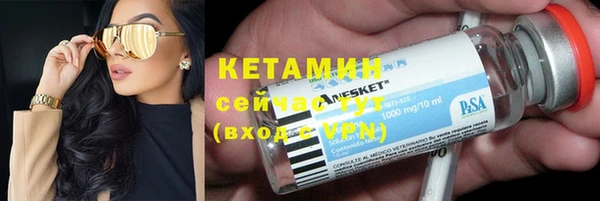 индика Арсеньев