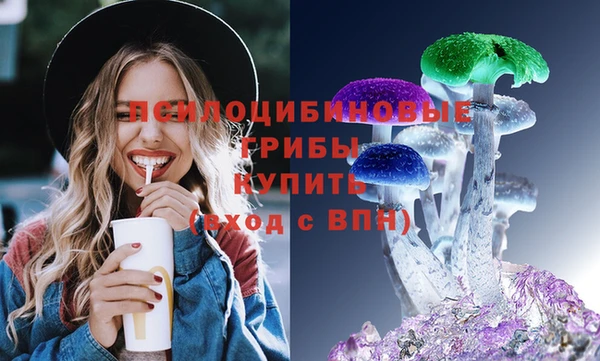 индика Арсеньев