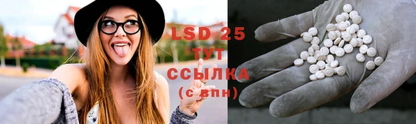 spice Алзамай