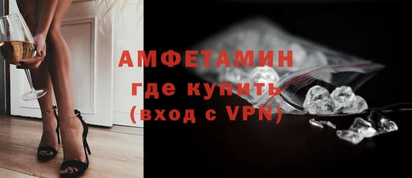 индика Арсеньев