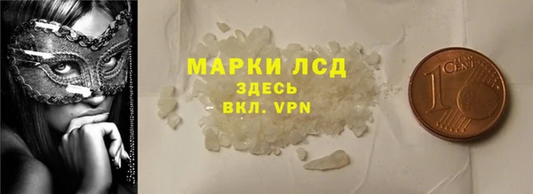 индика Арсеньев