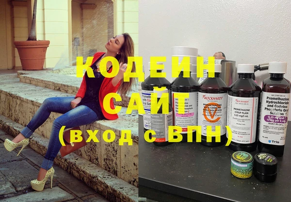 индика Арсеньев