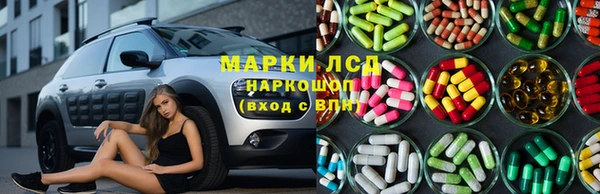 индика Арсеньев