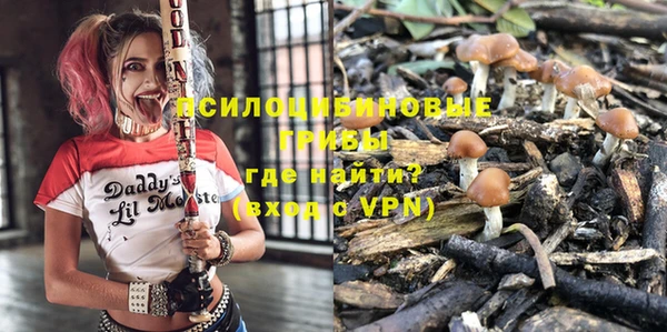 MDMA Premium VHQ Аркадак